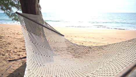 an empty hammock sways in the breeze over a golden sandy beach