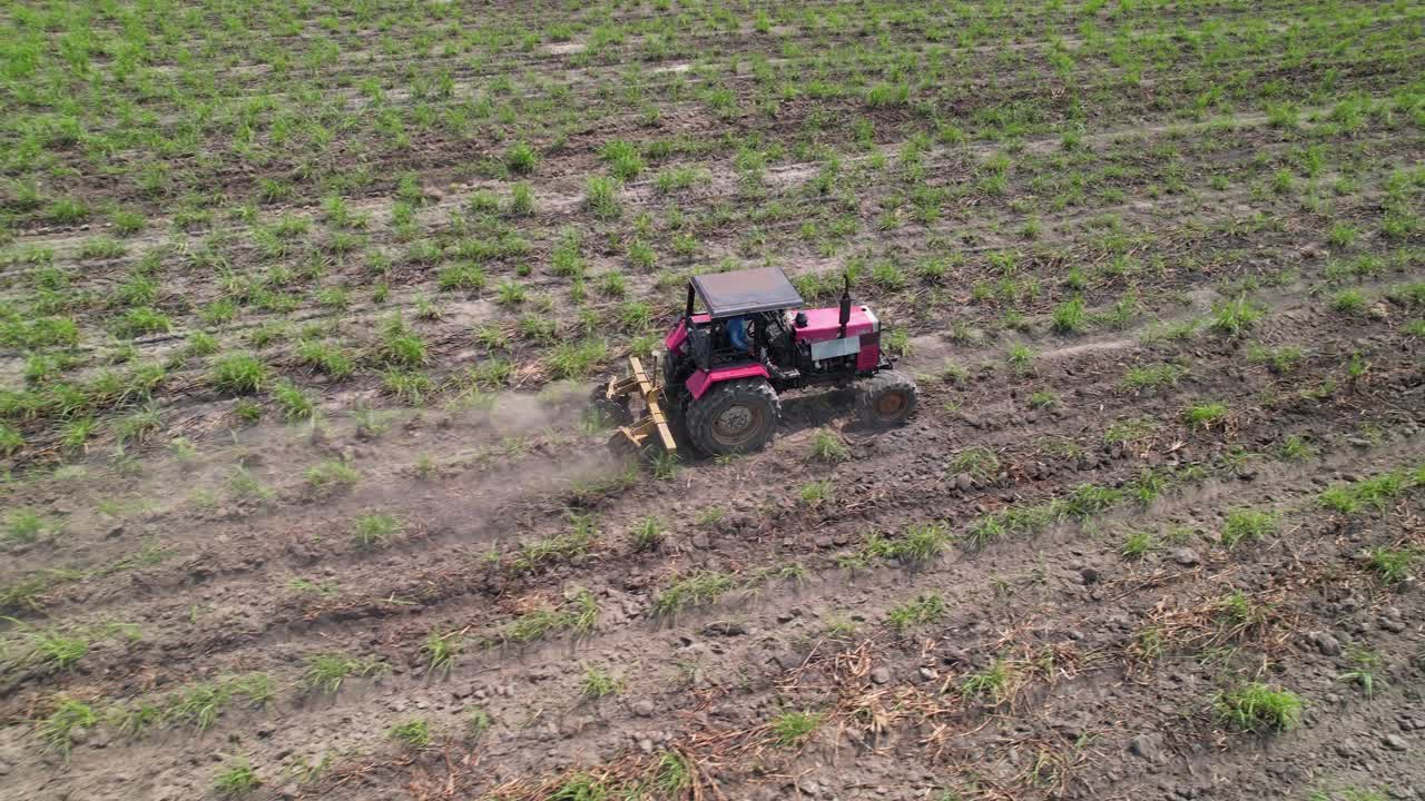 Tractor Cultivating Arable Land for Sugar Cane Planting, Aerial View