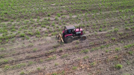 tractor cultivating arable land for sugar cane planting, aerial view