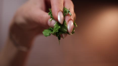 Weibliche-Hand-Hält-Frische-Korianderblätter-Zum-Bestreuen