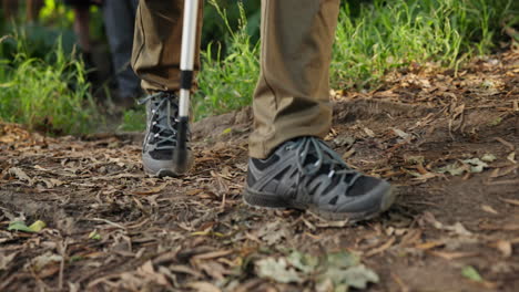 person hiking in the forest