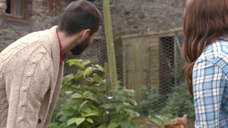 Young-couple-in-the-garden-with-dog-and-hens