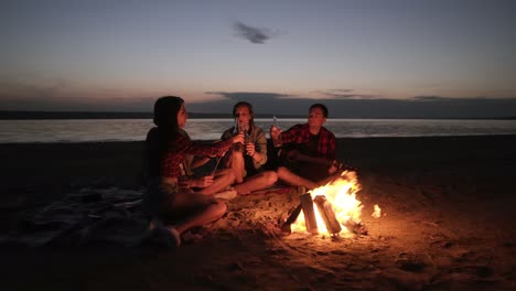 accelerated footage of friends sitting on the beach on a plaid near the bonfire, clinking with beer bottles. happy time, friendship. night, wind blowing