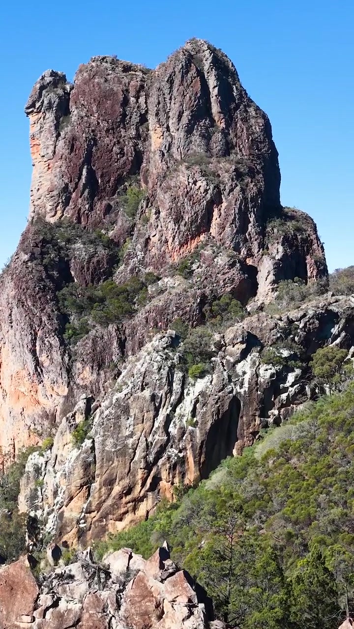 Un'aquila cuneata scivola oltre la formazione rocciosa vulcanica conosciuta come The Breadknife, Australia.