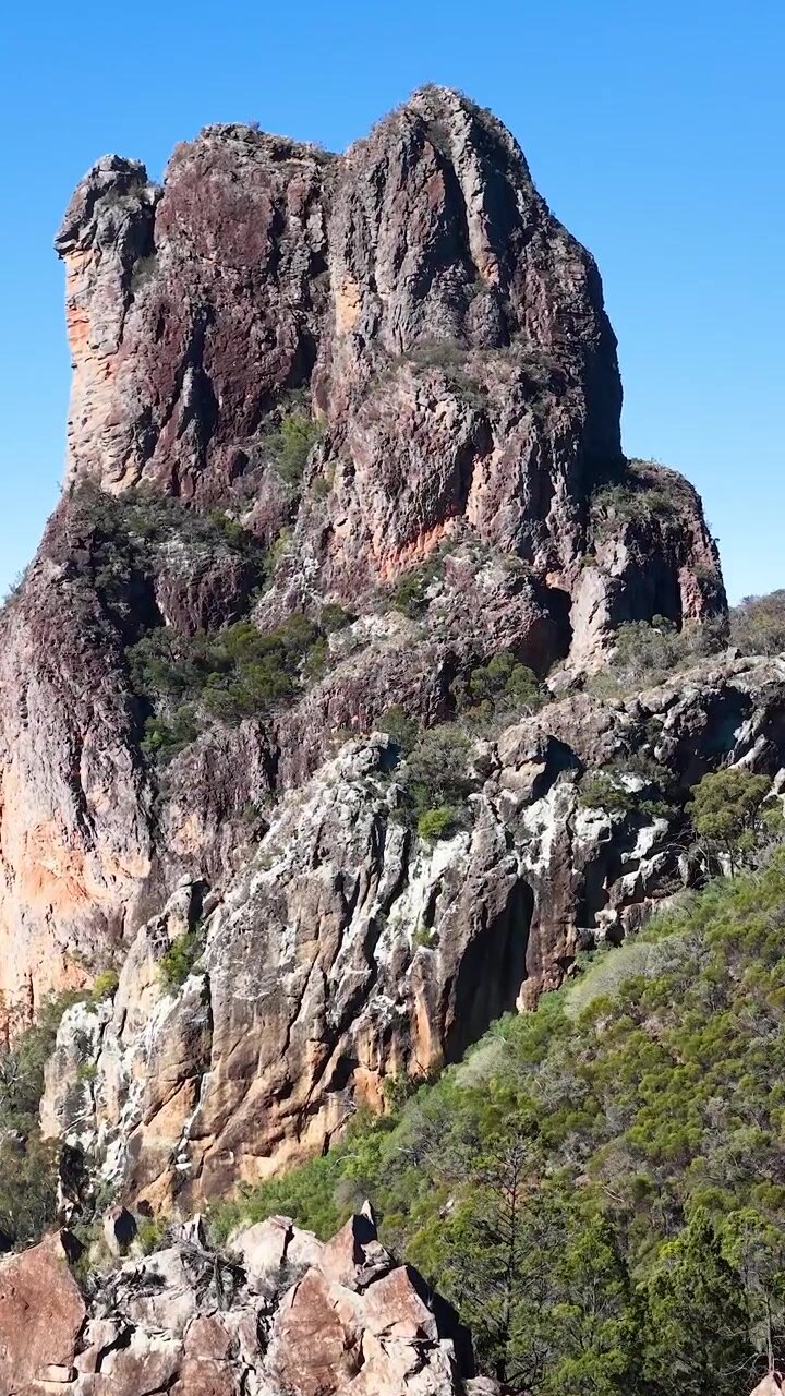 Un'aquila cuneata scivola oltre la formazione rocciosa vulcanica conosciuta come The Breadknife, Australia.