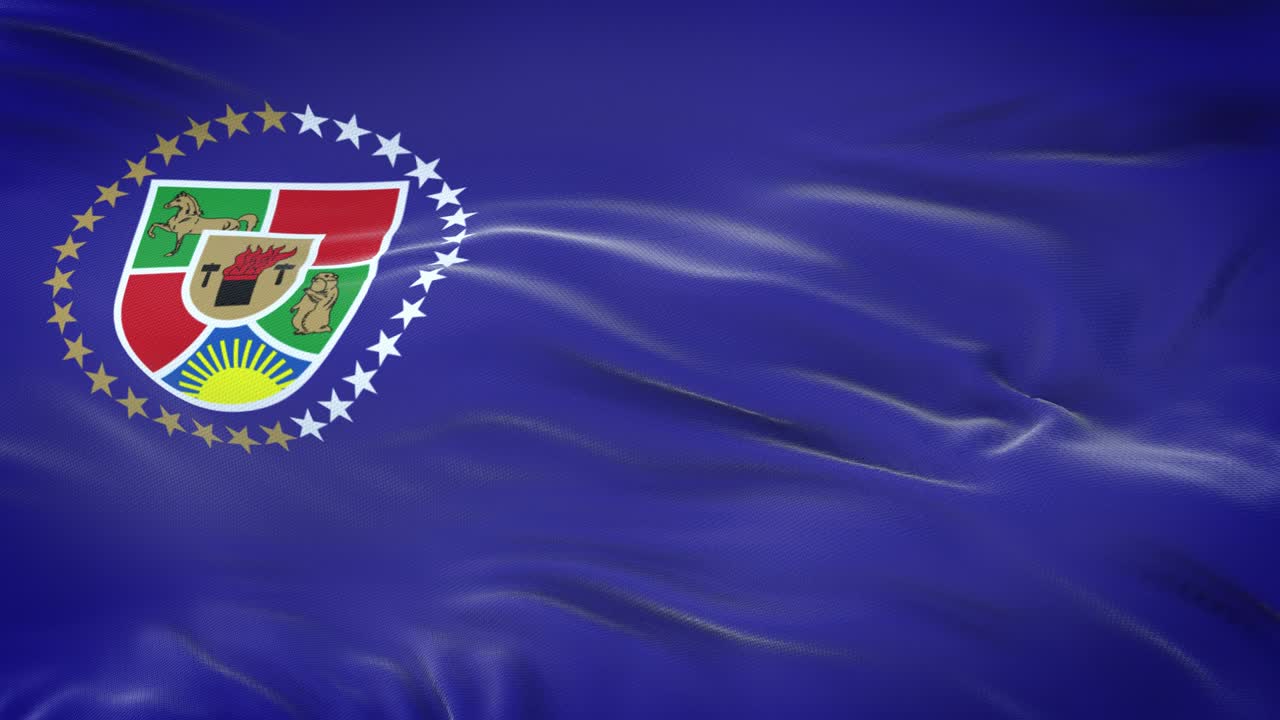 우크라이나 루한스크 지방의 발이 바람에 흔들리고 있으며, 매우 상세한 직물 질감이 있습니다.