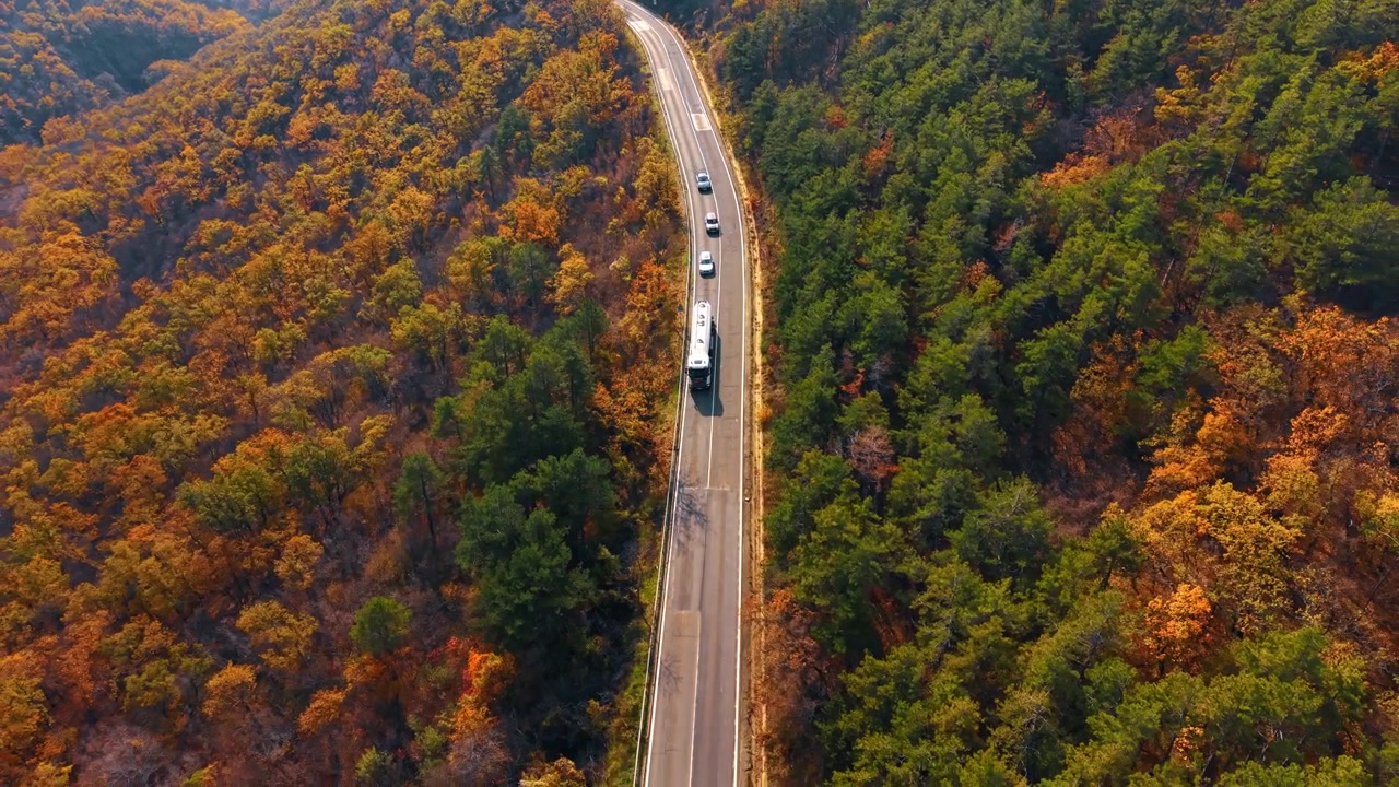 Carros viajando em rodovia de montanha através de floresta mista de outono. Vista elevada de drone de veículos em estrada sinuosa em meio a uma copa de encosta verde e dourada.