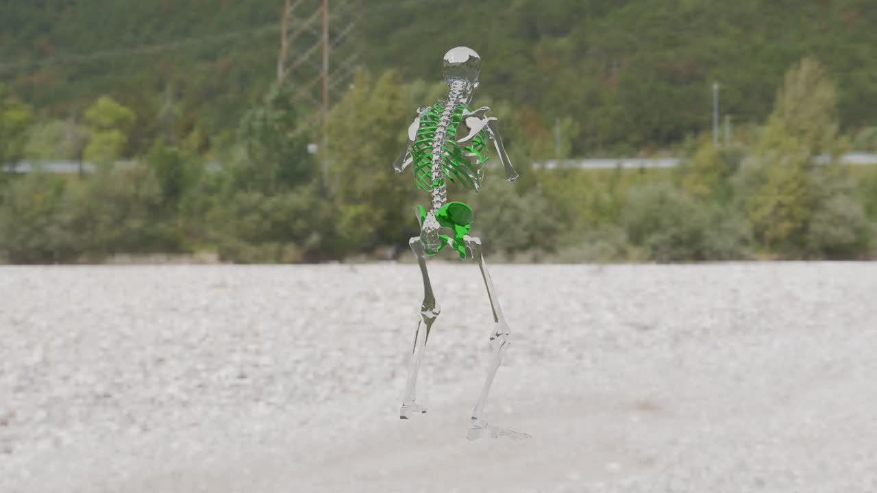 Skeleton kick green -nature