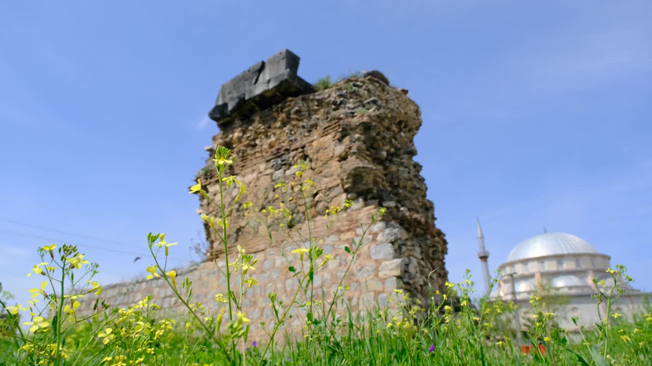 노란색 꽃은 초록색 잔디를 둘러싸고 있으며, 옛 고대와 도시 성벽의 폐허와 함께 이즈니크에 남아 있습니다.