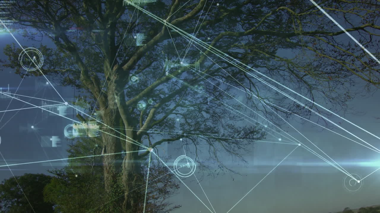 Digital data processing animation overlaying tree branches in outdoor scene