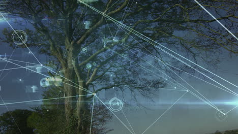 digital data processing animation overlaying tree branches in outdoor scene