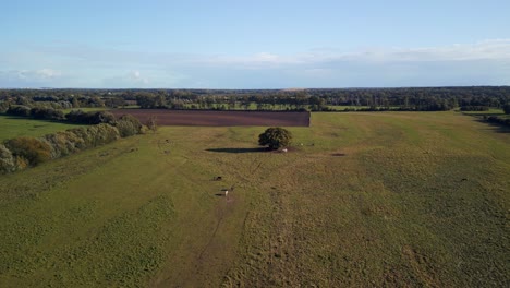 Malerische-Landschaft-Mit-Feldern-Und-Wiesen