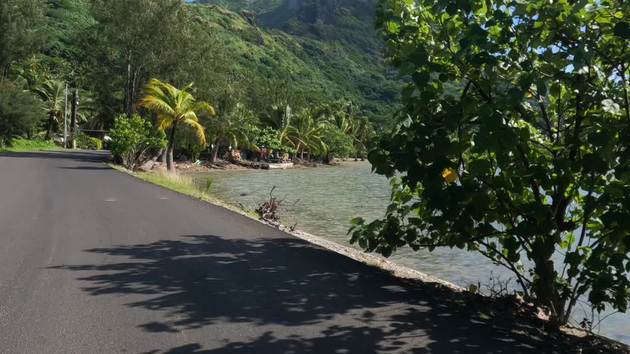 Bora Bora Island, French Polynesia. Driving on Coastal Road, Green Tropical Landscape and Lagoon Water