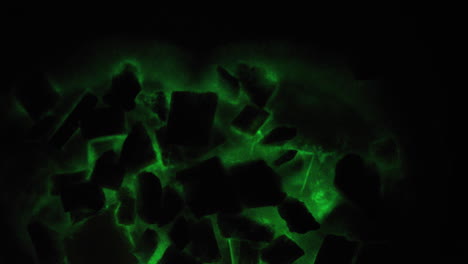 el micelio bioluminiscente que crece en astillas de madera brilla ocasionalmente - panellus stipticus