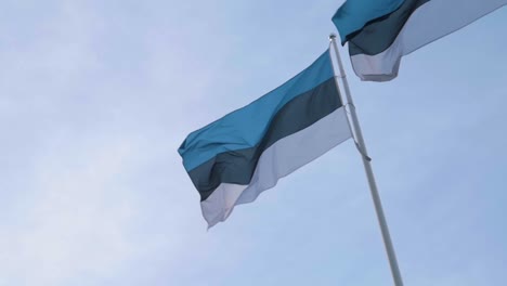 one estonian flag fluttering in the wind in slow motion