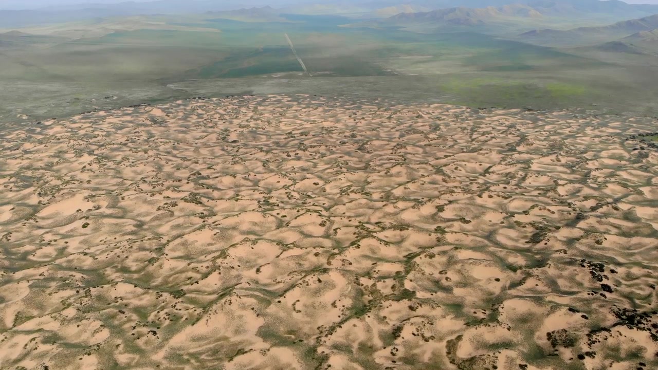 Veduta aerea di vaste dune di sabbia desertiche con vegetazione rada