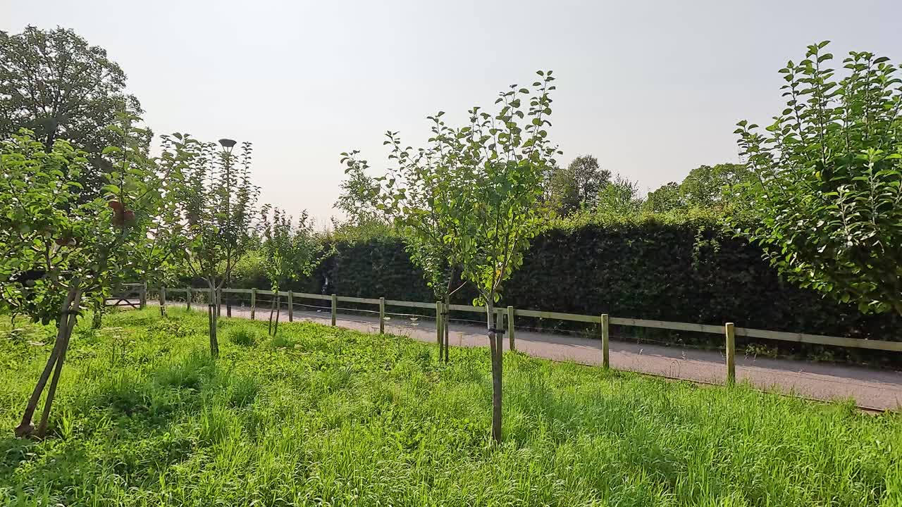 Weelderige appelboomgaard in Cardiff, Wales