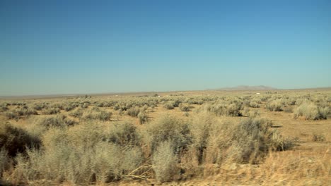 driving through the desert passing desert plants with houses and a mountain in the distance