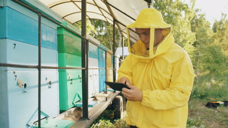 Beekeeper Checking Beehives