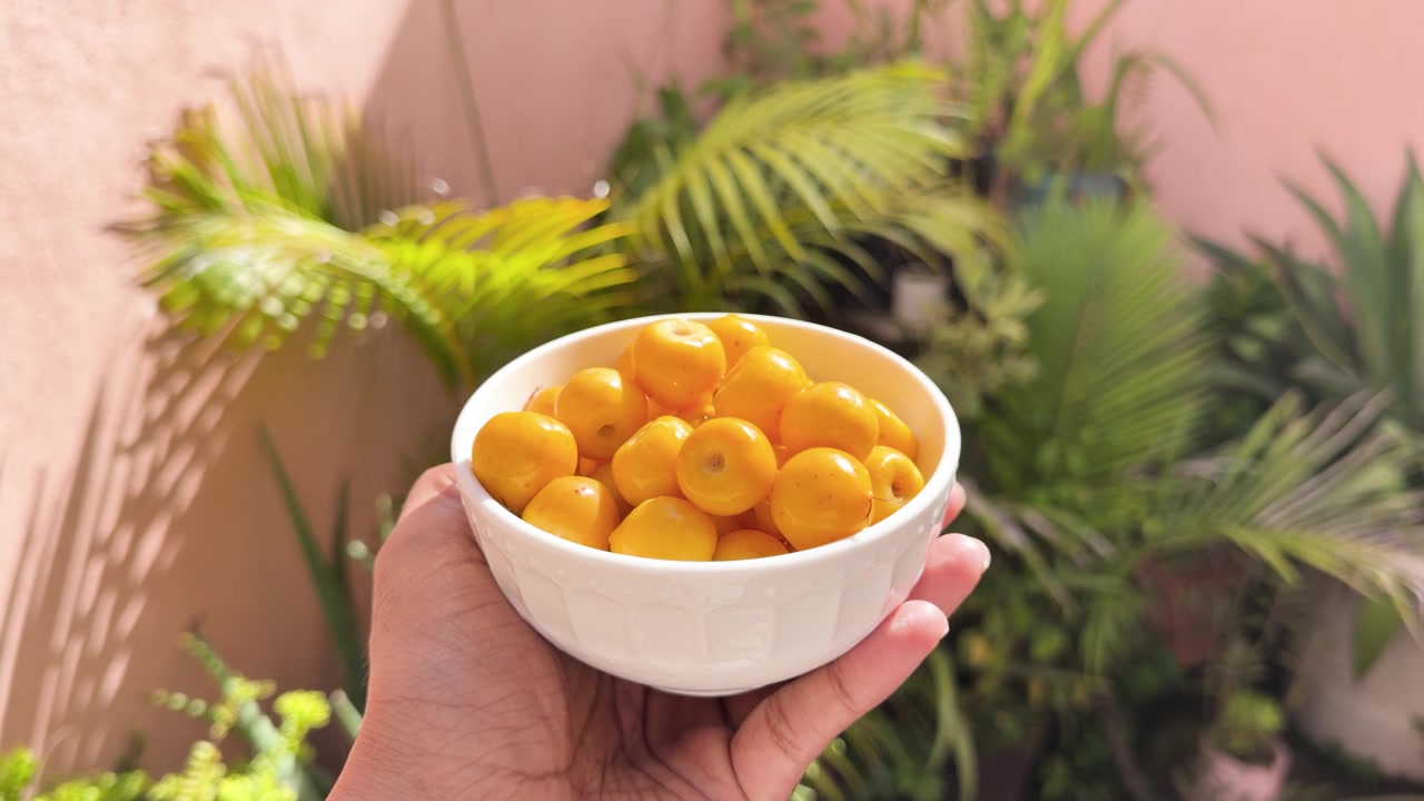 Hand holding a bowl of yellow fruits outdoors with green plants in background