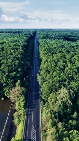 road with cars in colorful countryside forest
