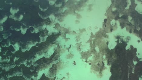 textura única de arena en el suelo oceánico y arrecife de coral en aguas turquesas tropicales, antena arriba hacia abajo