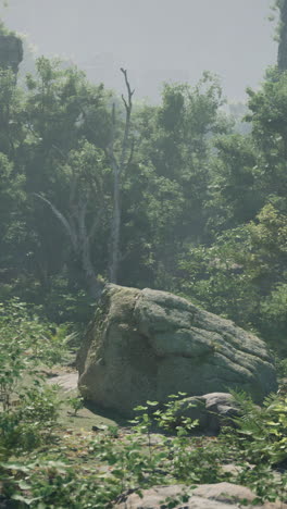 misty forest path with ancient ruins