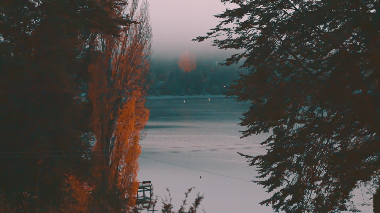 Lago autunnale nebbioso incorniciato da alberi colorati