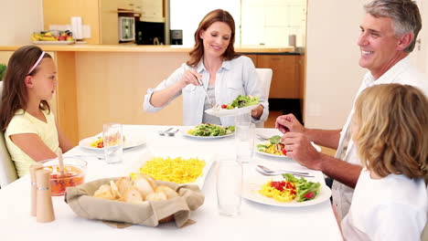 Glückliche-Familie-Beim-Mittagessen