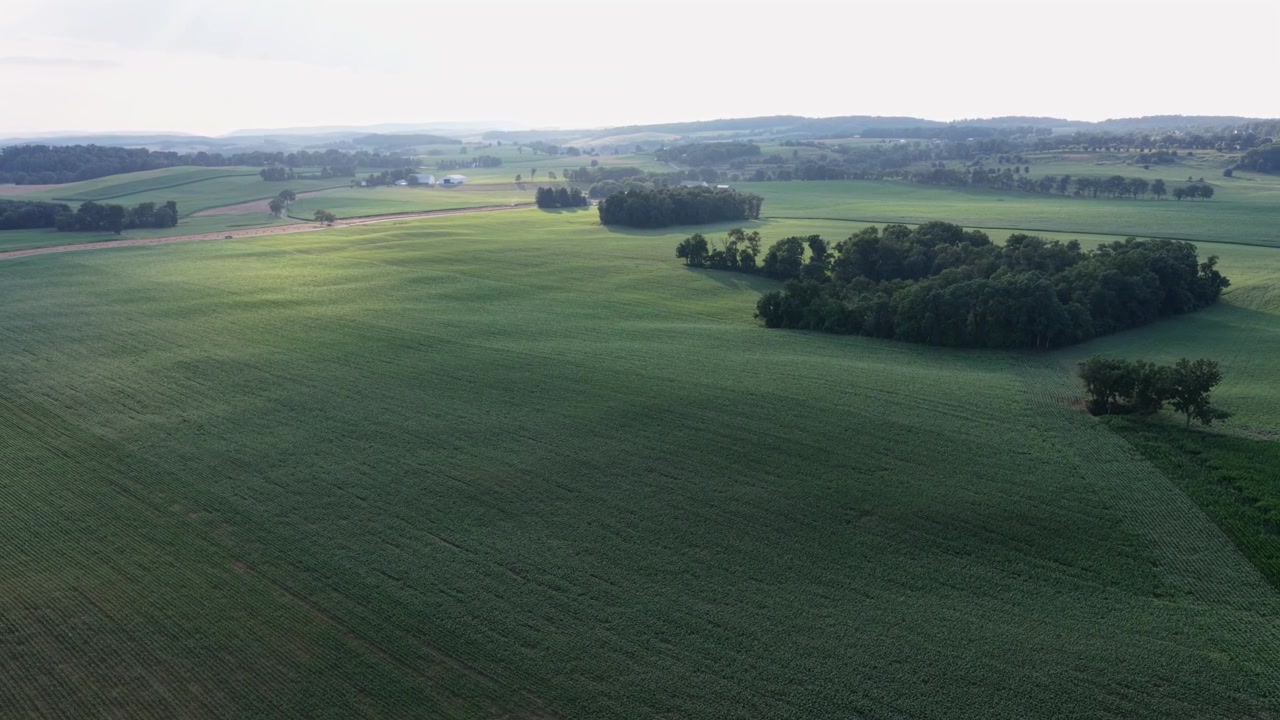 Rolling green farmland stretches toward hazy wooded hills, scattered tree clusters and forest patches break open crop fields at soft golden morning light in rural USA. Aerial drone wide shot