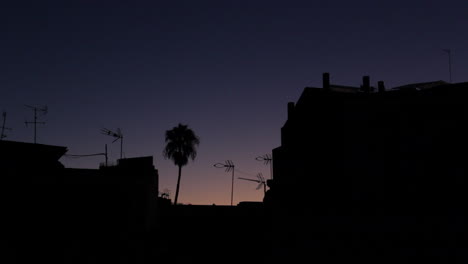 lapso de tiempo del amanecer detrás de la silueta de los edificios con antenas, pájaros volando y una palmera sacudida por el viento, comienza en la oscuridad y termina con la escena iluminada brevemente