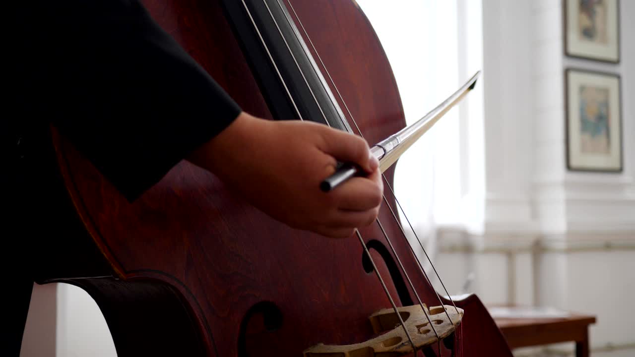violonchelista profesional toca en cuerdas con a través de un arco, detalle macro del instrumento