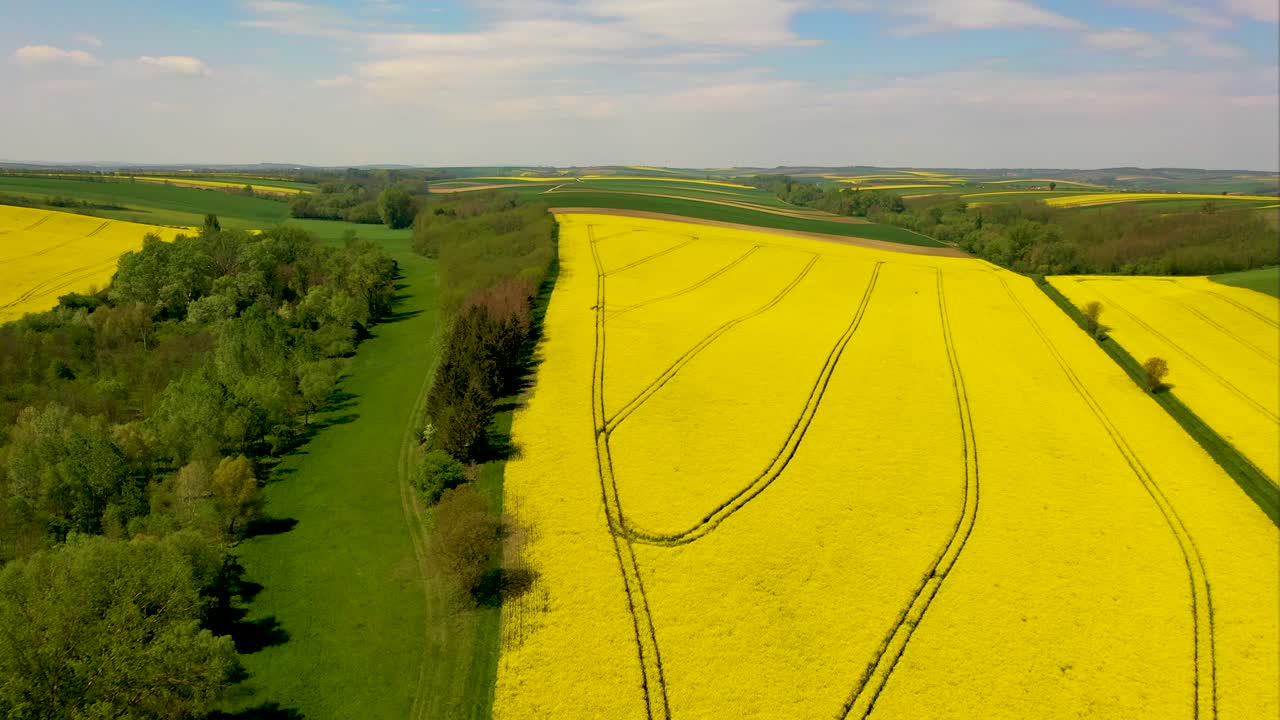 Hills and mountains on horizon behind canola seed fields in Lower Austria, drone flight aerial footage over agrictural used farmland