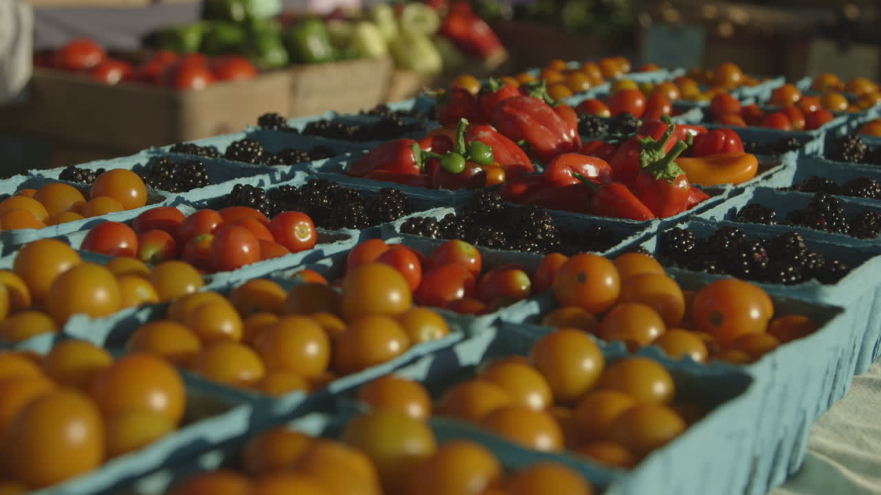 tomates frescos de sol dorado, frutos de mora y pimientos rojos a la venta en el mercado de agricultores de durham, carolina del norte
