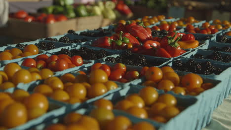 Fresh-Sun-Gold-Tomatoes,-Blackberry-Fruits,-And-Red-Bell-Peppers-For-Sale-At-The-Farmer's-Market-In-Durham,-NC