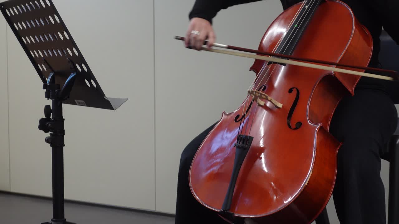 Artist Playing Ciello. Music Concept