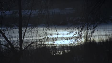 Sunset-behind-the-trees-frozen-river