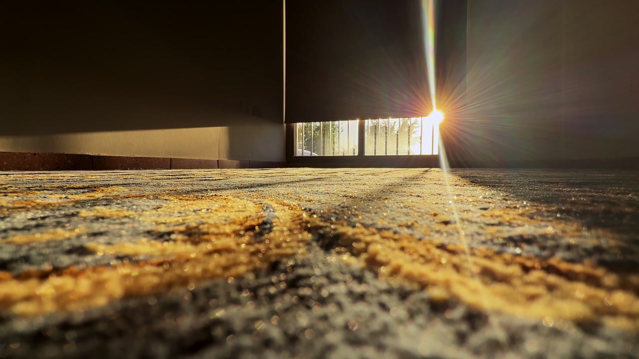 Low-angle indoor shot of warm sunlight bursting through window blinds onto a patterned carpet, creating dramatic rays, texture, and a calm empty room atmosphere.