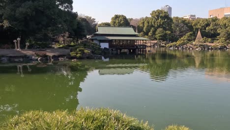 A picturesque garden pond reflecting lush greenery and a pavilion, with birds flying over the serene water.