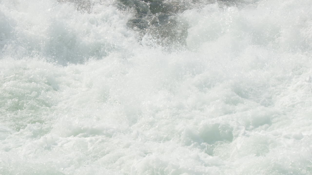 Powerful whitewater river rapid denies leaping salmon trying to spawn