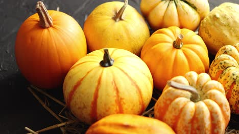 montón de calabazas con heno