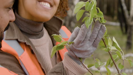 Close-up-view-of-an-african-american-woman-activist-and-arab-coworker-observing-the-leaves-of-a-tree-in-the-forest