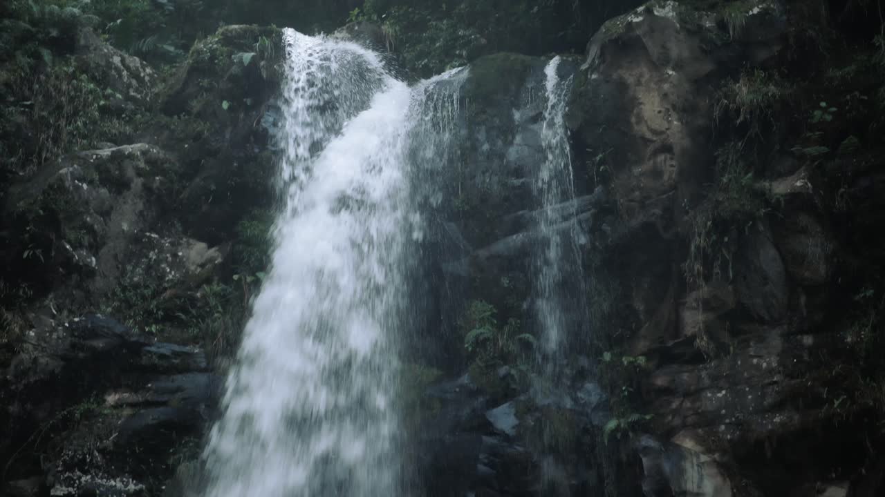 Tilt down view of a rainforest waterfall in Panama