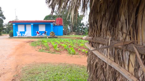 an establishing shot of a farm house on a tobacco farm in vinales cuba