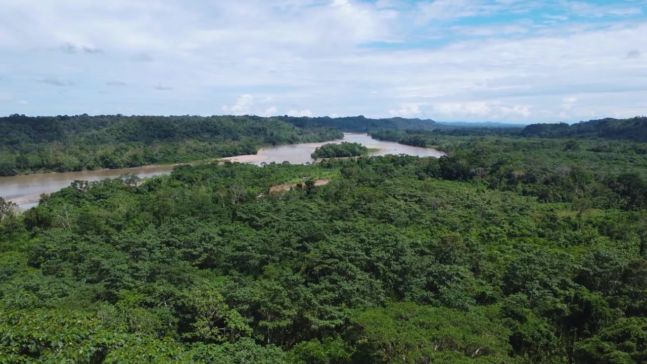 Aerial drone shot flying over the treetops of the Ecuadorian Amazon toward a wide muddy river winding through endless green forest under a bright blue sky.