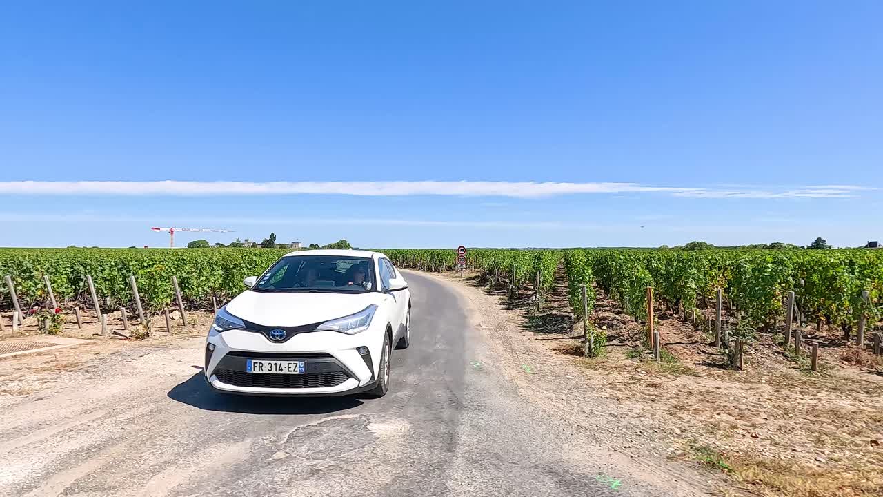 프랑스 파우일라크의 포도을 지나가는 차