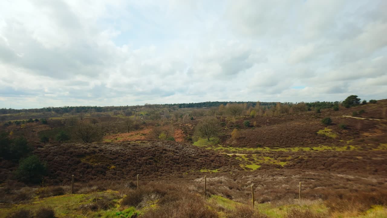vasto paisaje holandés de veluwe con colinas de brezo y vegetación protegida en el parque nacional
