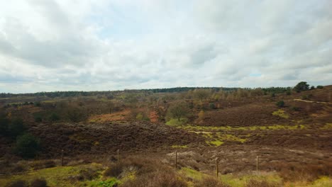 Vasto-Paisaje-Holandés-De-Veluwe-Con-Colinas-De-Brezo-Y-Vegetación-Protegida-En-El-Parque-Nacional