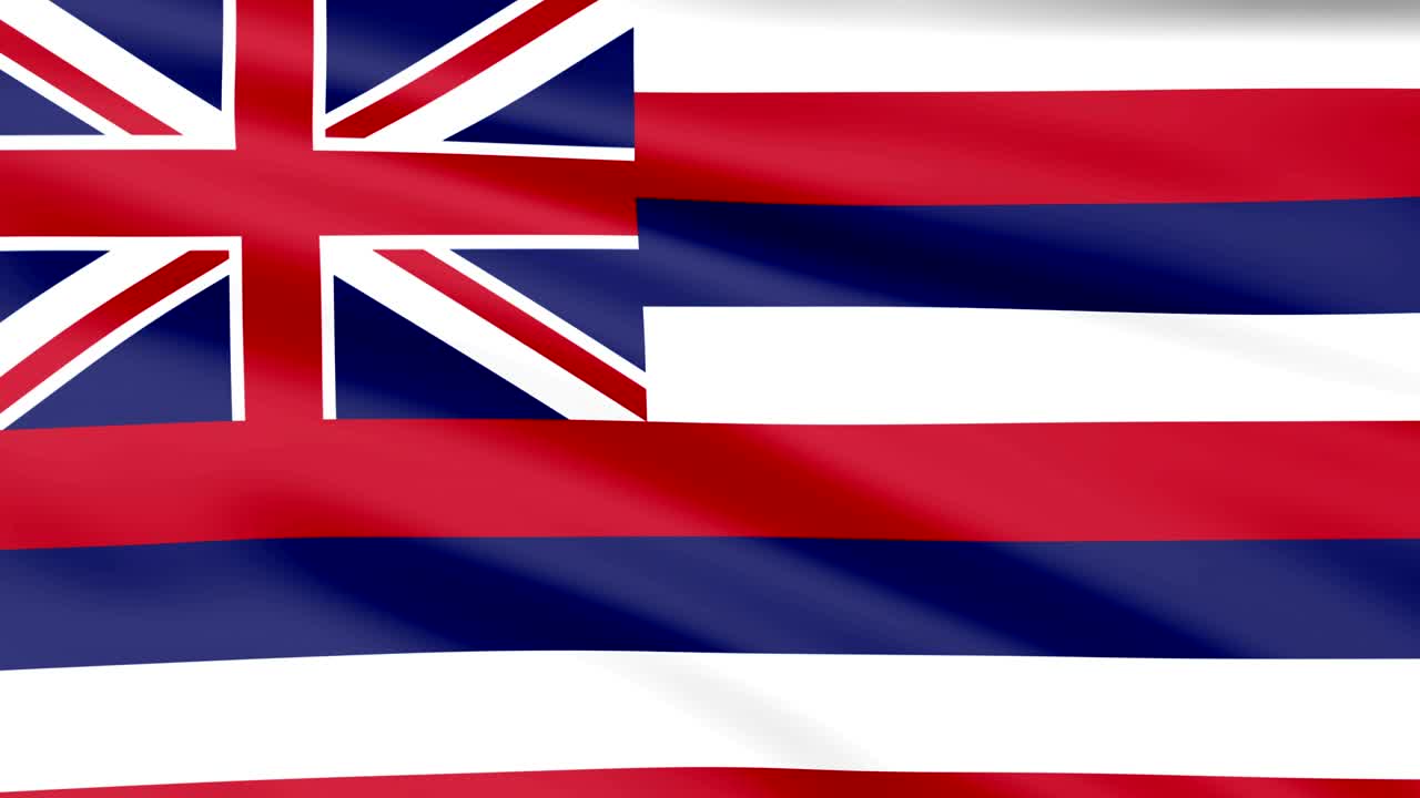 하와이의 큰 루핑 애니메이션 발