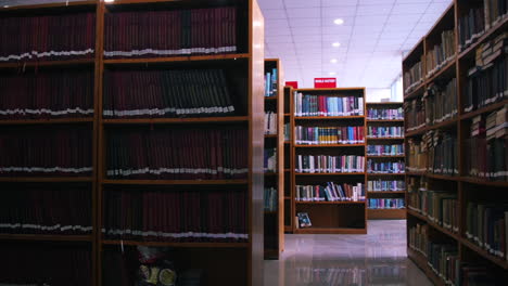 huge-classic-library-of-wood-shelves-books